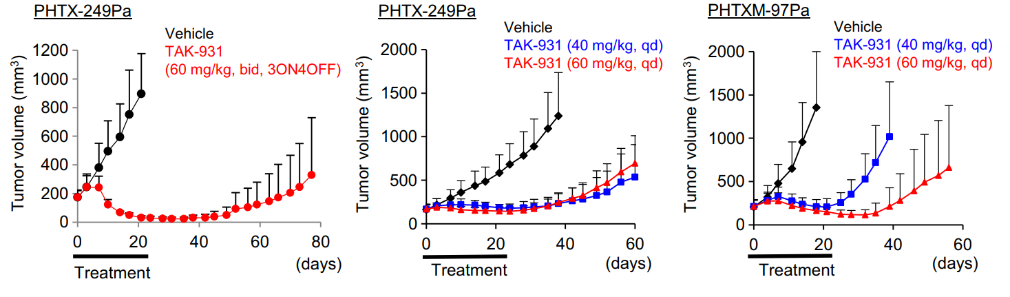 TAK-931是一种高效的CDC7抑制剂，通过抑制CDC7来抑制DNA复制，具有抗肿瘤功效，体内药效研究通过东盟体育
进行